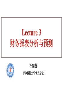 Lecture3财务报表分析