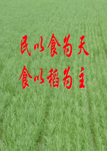 我国水稻生产机械化新技术修改