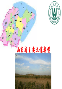 山东省主要土壤类型(青岛农业大学)