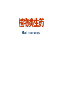 植物类生药（PPT173页)
