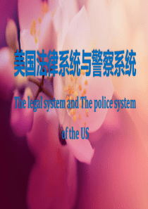 美国法律系统与警察系统··