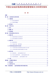 中国企业组织氛围和绩效管理相关分析研究报告