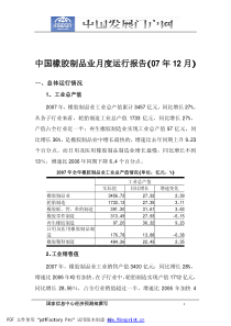 中国橡胶制品业月度运行报告(07年12月)