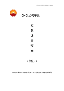 CNG加气子站应急预案