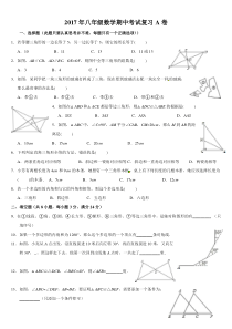 湖南省浏阳市八年级数学上期中复习A卷