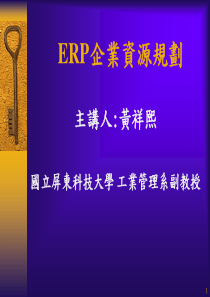 ERP企业资源规划  