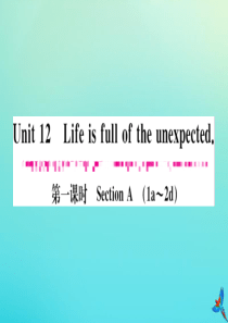 （河南专版）2020秋九年级英语全册 Unit 12 Life is full of the une