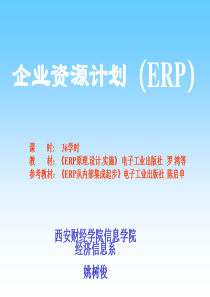 ERP原理与实施-1ERP的基础理论