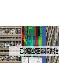 立业地产重庆江北嘴置业豪宅项目前期策划